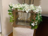 Cynthia Balian review photo