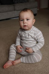 Reilly H review photo
