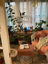 Hyde_Park_Plant_Genie review photo