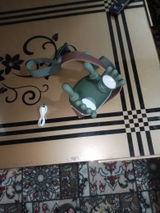 Shaheen review photo