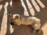 rocio s.a. review photo