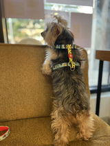 Anónimo review photo