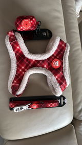 Alessia C. review photo