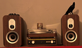 Shane Johnson review photo