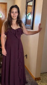 Aria review photo