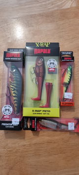 Pikeris Modestas review photo