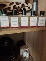 Tanase Dan review photo