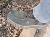Randy B. review photo
