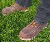 Laurent H. review photo