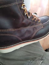 Matthew B. review photo