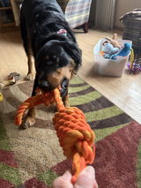 Sharron S. review photo