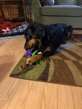 Sharron S. review photo