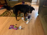 Sharron S. review photo