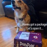 S. review photo