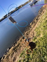 Hunt_Fish_Dive review photo