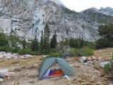 Nenad R. review photo