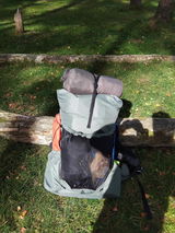 Jasper T.B. review photo