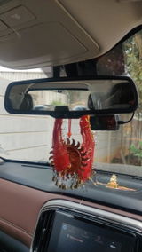 Raghavendra R. review photo