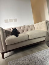 Ally review photo