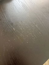 Sophie F review photo