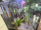Dresaquatics review photo