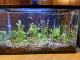 jamie sacco review photo