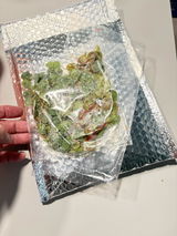 Anthony G. review photo
