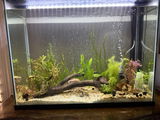 Rachel Tombaugh review photo