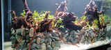 Sebastian review photo