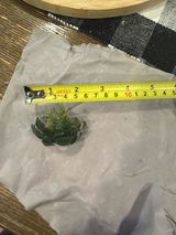 Veronica B. review photo