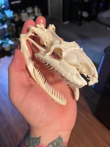 Jadyn review photo