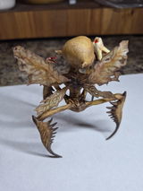 Kerry Redanauer review photo