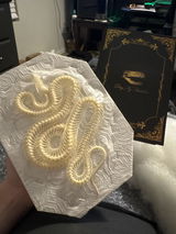Chloé Madden review photo