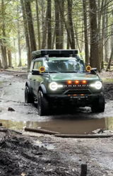 David review photo