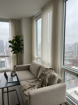 Silvery review photo