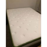 Lauren S. review photo