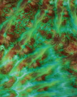 Fun Endeavors Tie Dye Lab review photo