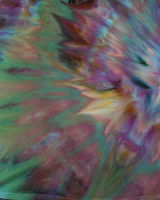 Fun Endeavors Tie Dye Lab review photo