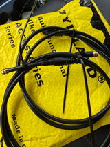 Andy Patton review photo