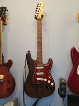 Van Guitars review photo