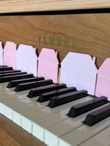 Elizabeth Zajac review photo
