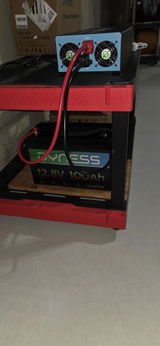 C. T. review photo