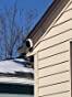 MR. MACK review photo