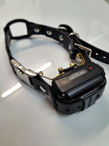 Stuey review photo