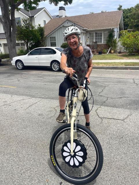 E-Switchy Electric Bike Kit