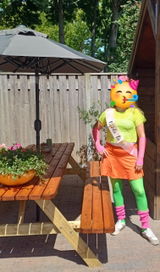 User picture