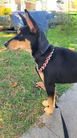 Claud review photo
