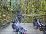 Steven &amp; Debra McDonald review photo