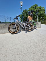 Miklos Moro review photo