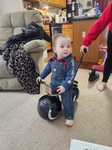bella-velio-balance-bike-for-1-year-old review photo